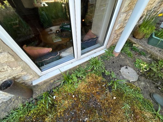 IMG_8593.jpeg IMG_8593.jpeg