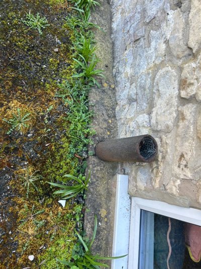 IMG_8592.jpeg IMG_8592.jpeg