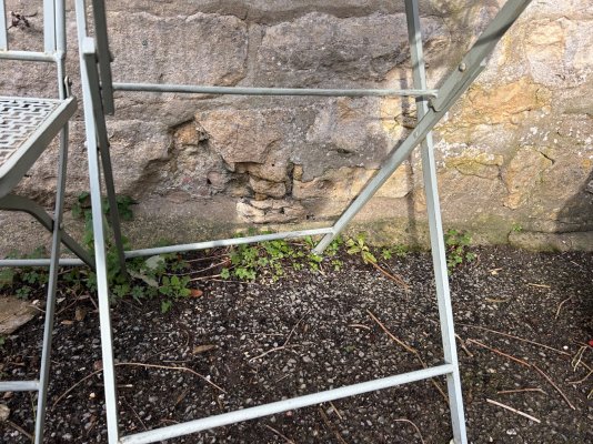 IMG_8398.jpeg IMG_8398.jpeg