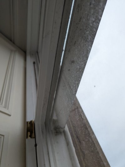 1000037666.jpg 1000037666.jpg