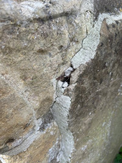 IMG_8629.jpeg IMG_8629.jpeg