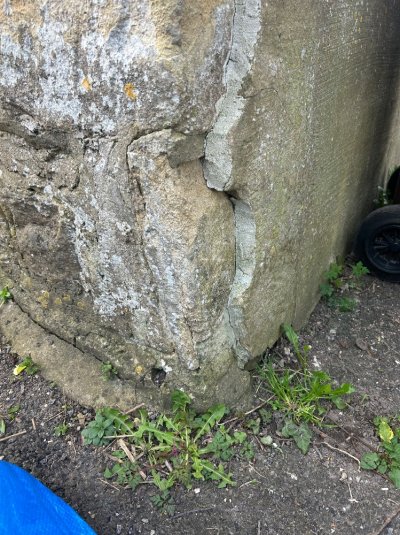 IMG_8628.jpeg IMG_8628.jpeg