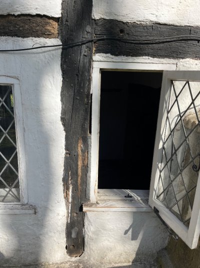 IMG_0077.jpeg IMG_0077.jpeg