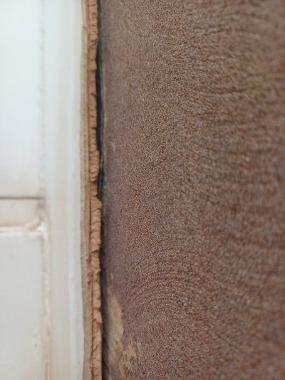 20260327_145837.jpg 20260327_145837.jpg