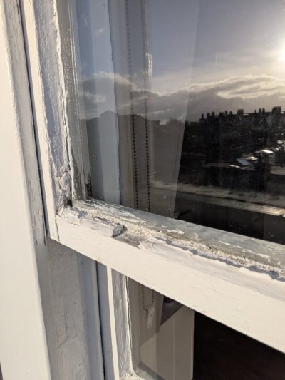 PXL_20260328_170401654.jpg PXL_20260328_170401654.jpg