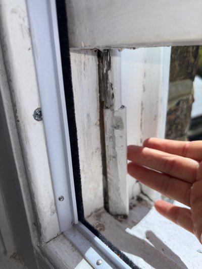 D_Outside_the_property_-_D5_Windows_2026-04-29-12-40-25_2896.jpg D_Outside_the_property_-_D5_Windows_2026-04-29-12-40-25_2896.jpg