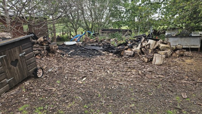 Wood pile.jpeg Wood pile.jpeg