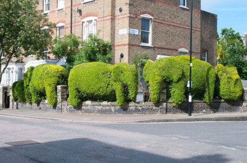 Elephants topiary.jpg
