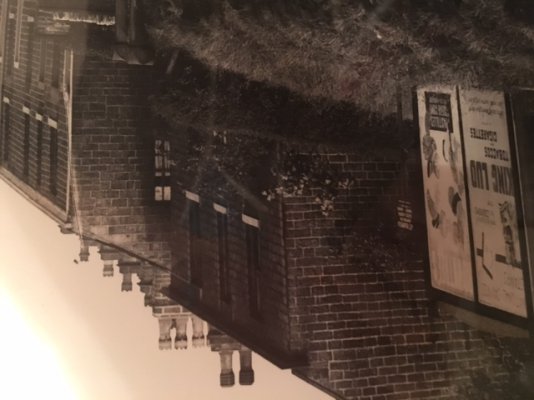 image1 (2).jpeg