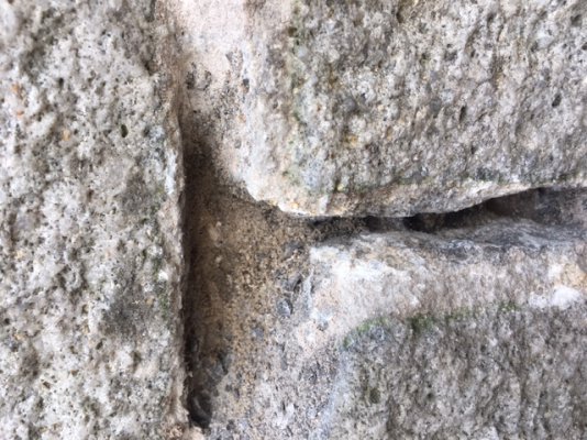 image5 (2).jpeg