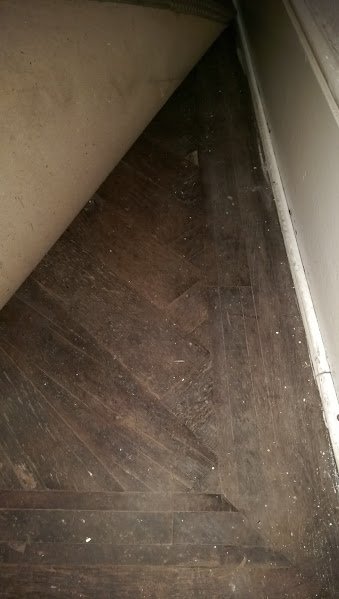 IMAG0967.jpg IMAG0967.jpg