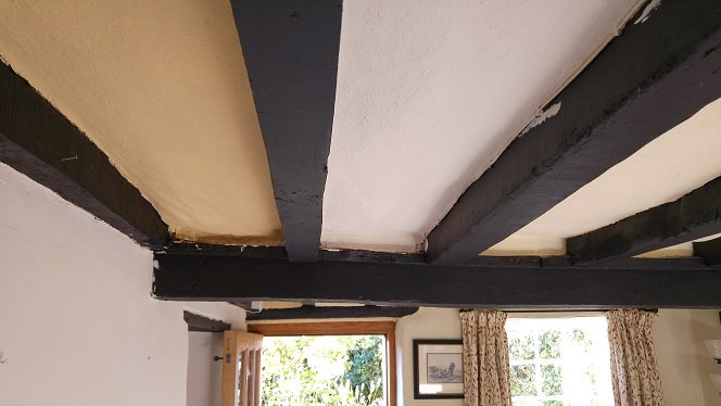 ceiling1.jpg ceiling1.jpg