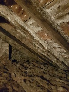 20170915_183830.jpg 20170915_183830.jpg