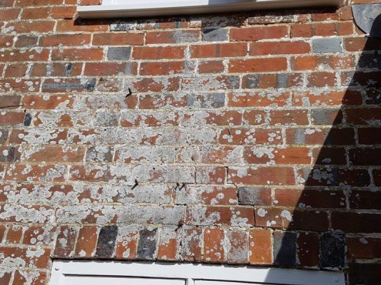 fallen arches2-small.jpg fallen arches2-small.jpg