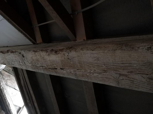 Stripped beam.jpg Stripped beam.jpg
