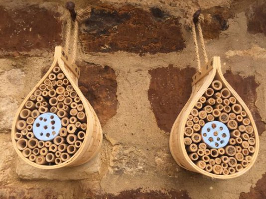 bee house really small.JPG