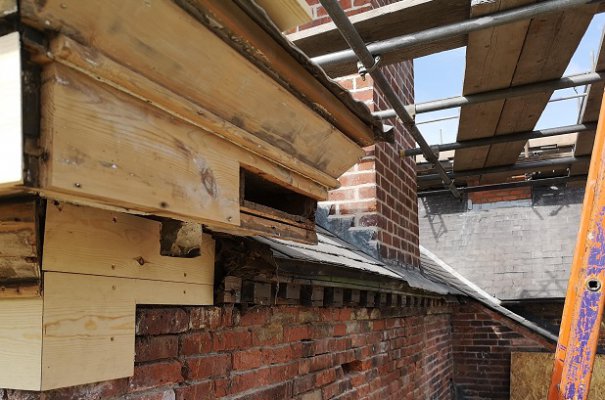 back of house drainage.jpg back of house drainage.jpg