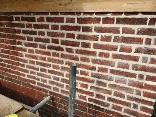 Lime pointing front.jpg