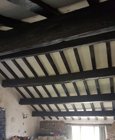 roof3.jpg