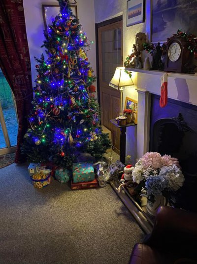 tree.jpg