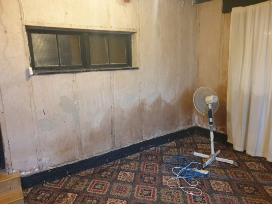 damp-update.jpg