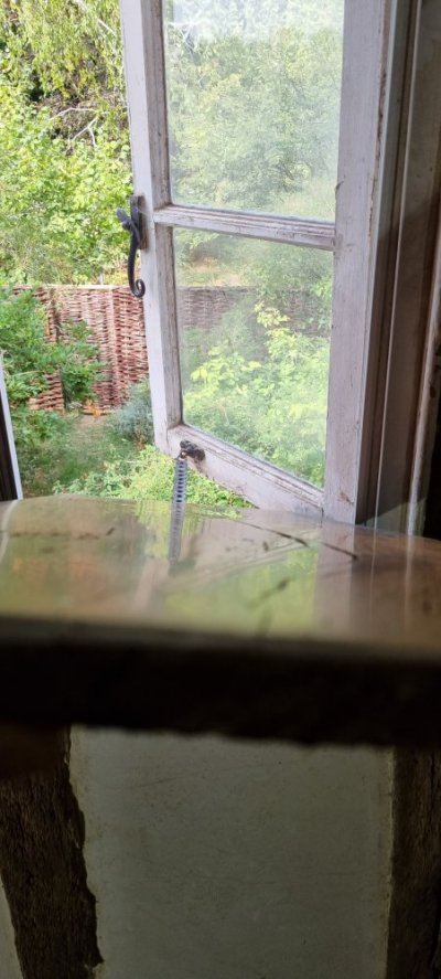 20220904_131337.jpg