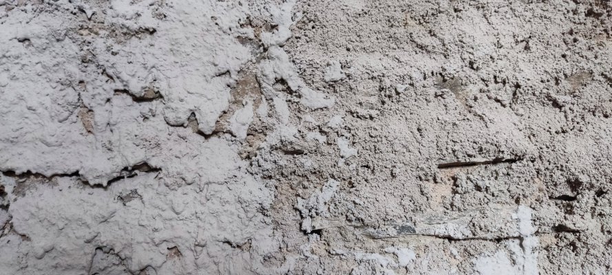 IMG_20221003_114529.jpg IMG_20221003_114529.jpg