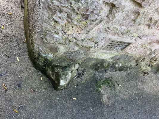 IMG_8325.jpeg IMG_8325.jpeg