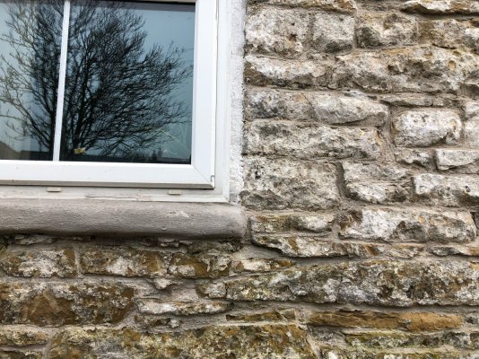 IMG_5373.jpeg IMG_5373.jpeg