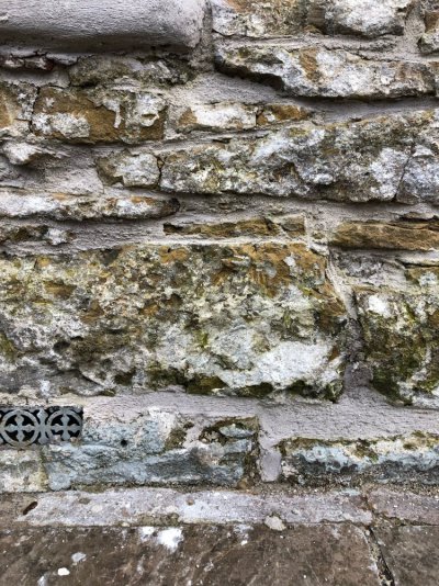 IMG_5374.jpeg IMG_5374.jpeg