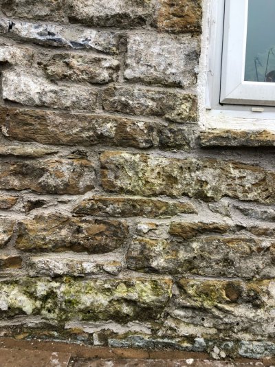 IMG_5375.jpeg IMG_5375.jpeg