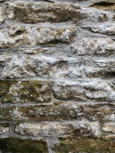 IMG_5376.jpeg IMG_5376.jpeg