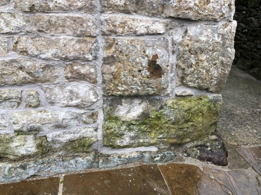 IMG_5380.jpeg IMG_5380.jpeg