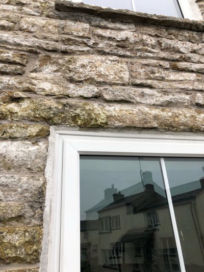 IMG_5383.jpeg IMG_5383.jpeg