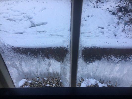 2542C456-5FB3-436B-AE17-D72F1B364719.jpeg 2542C456-5FB3-436B-AE17-D72F1B364719.jpeg