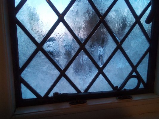 IMG_20221216_080357_7.jpg IMG_20221216_080357_7.jpg