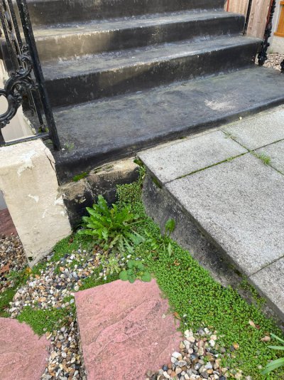 front steps zoom.jpeg front steps zoom.jpeg
