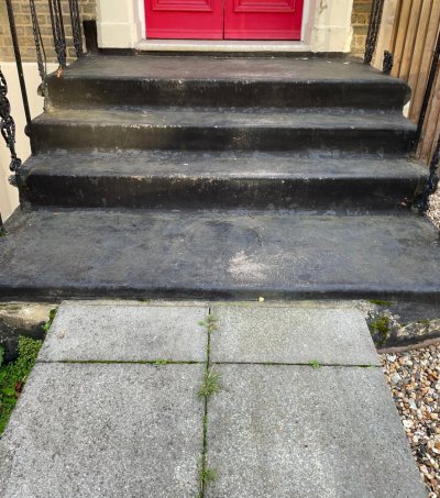 front steps.jpg front steps.jpg