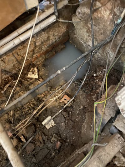 587387F7-1B97-44C4-B71D-1C9FF64F23C2.jpeg 587387F7-1B97-44C4-B71D-1C9FF64F23C2.jpeg