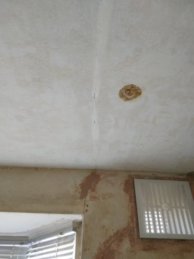 IMG20230205101038.jpg
