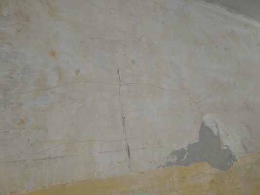 IMG20230205100825.jpg