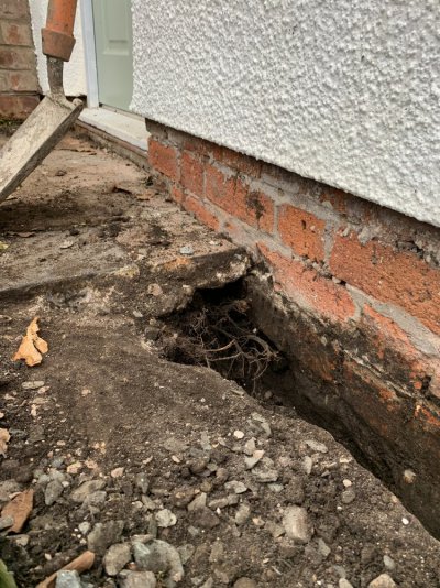 194333E3-51A2-4CA2-8A2E-6499CF666447.jpeg 194333E3-51A2-4CA2-8A2E-6499CF666447.jpeg