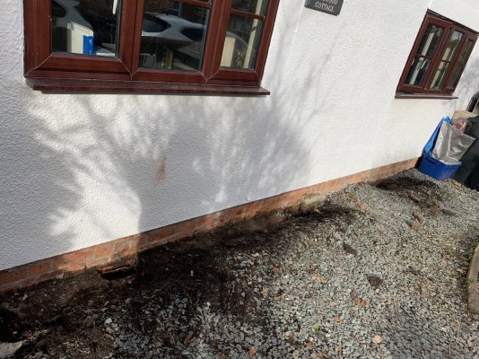 F02DD618-A685-4CB9-8007-E10139AE4039.jpeg F02DD618-A685-4CB9-8007-E10139AE4039.jpeg