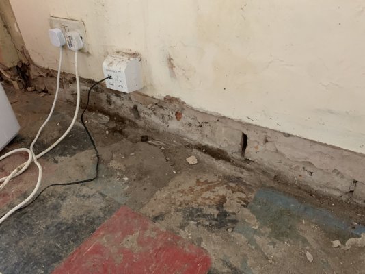 F9C903C2-9501-4D99-B31D-58BF49D28366.jpeg F9C903C2-9501-4D99-B31D-58BF49D28366.jpeg