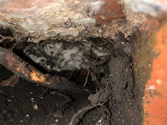 CA2C5680-ED21-449C-9ED1-D6FF52654613.jpeg CA2C5680-ED21-449C-9ED1-D6FF52654613.jpeg