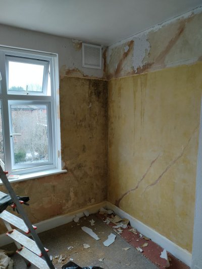 IMG20230216155748.jpg IMG20230216155748.jpg