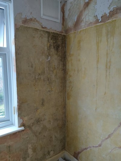 IMG20230216155755.jpg IMG20230216155755.jpg