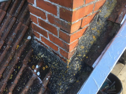 IMG_1393.JPG IMG_1393.JPG