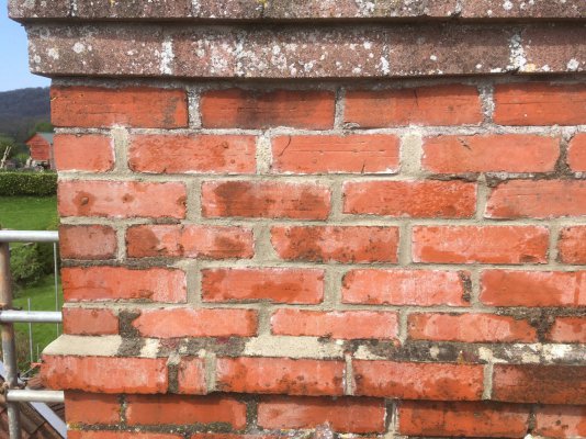 IMG_1421.JPG IMG_1421.JPG