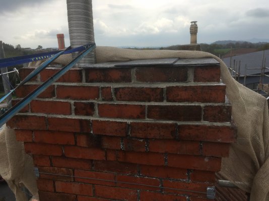 IMG_1441.JPG IMG_1441.JPG